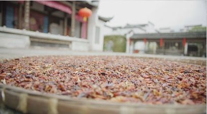 DryRedPepper_3840x2160_25fps_10bit_420