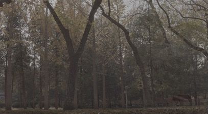 FallingLeaves_3840x2160_50fps_8bit_420
