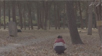 GirlThrowingLeaves_3840x2160_50fps_8bit_420