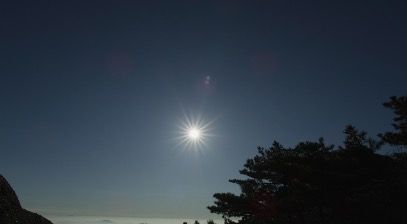 SunAndTrees_3840x2160_25fps_10bit_420