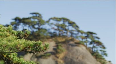 TreesOnMountains1_3840x2160_25fps_10bit_420