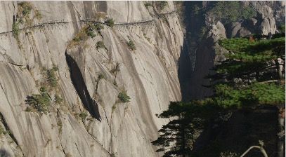 TreesOnMountains3_3840x2160_25fps_10bit_420